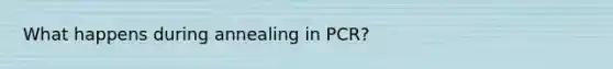 What happens during annealing in PCR?