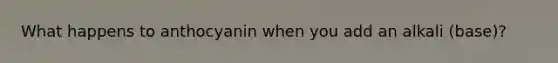 What happens to anthocyanin when you add an alkali (base)?