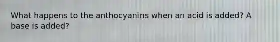 What happens to the anthocyanins when an acid is added? A base is added?