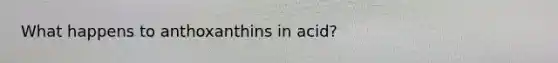 What happens to anthoxanthins in acid?