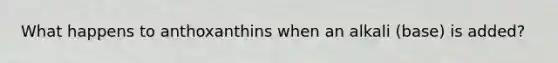 What happens to anthoxanthins when an alkali (base) is added?