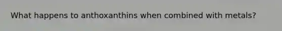 What happens to anthoxanthins when combined with metals?