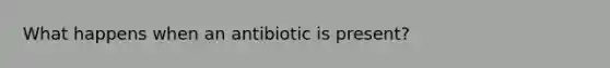 What happens when an antibiotic is present?