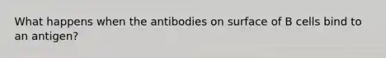 What happens when the antibodies on surface of B cells bind to an antigen?