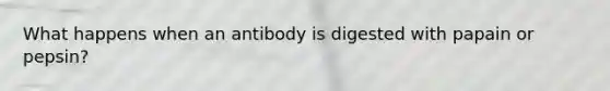 What happens when an antibody is digested with papain or pepsin?