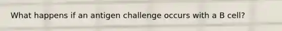 What happens if an antigen challenge occurs with a B cell?