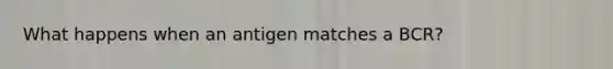 What happens when an antigen matches a BCR?