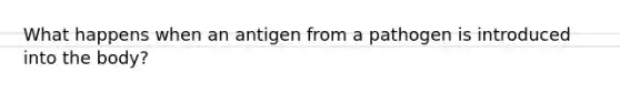 What happens when an antigen from a pathogen is introduced into the body?