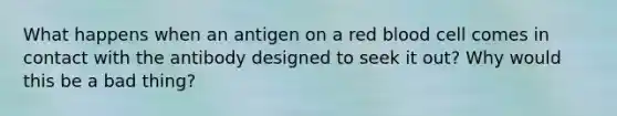 What happens when an antigen on a red blood cell comes in contact with the antibody designed to seek it out? Why would this be a bad thing?