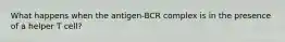 What happens when the antigen-BCR complex is in the presence of a helper T cell?