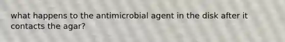 what happens to the antimicrobial agent in the disk after it contacts the agar?