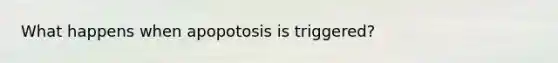 What happens when apopotosis is triggered?