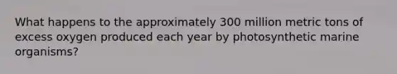 What happens to the approximately 300 million metric tons of excess oxygen produced each year by photosynthetic marine organisms?