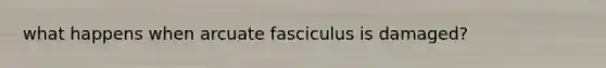 what happens when arcuate fasciculus is damaged?