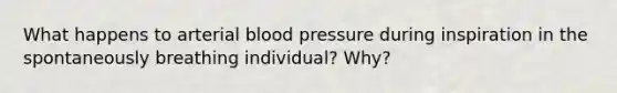 What happens to arterial blood pressure during inspiration in the spontaneously breathing individual? Why?