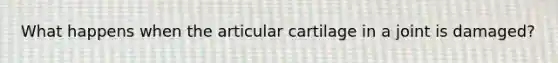 What happens when the articular cartilage in a joint is damaged?