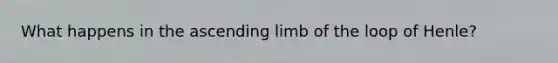 What happens in the ascending limb of the loop of Henle?