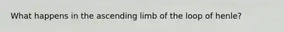 What happens in the ascending limb of the loop of henle?