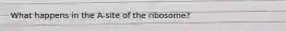 What happens in the A-site of the ribosome?