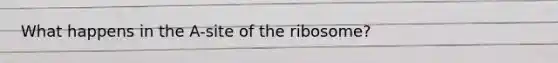 What happens in the A-site of the ribosome?