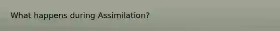 What happens during Assimilation?