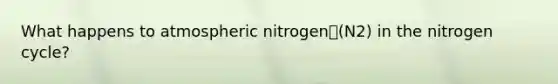 What happens to atmospheric nitrogen(N2) in the nitrogen cycle?