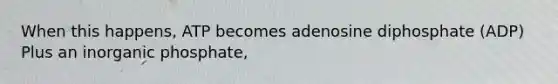 When this happens, ATP becomes adenosine diphosphate (ADP) Plus an inorganic phosphate,