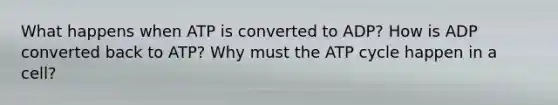 What happens when ATP is converted to ADP? How is ADP converted back to ATP? Why must the ATP cycle happen in a cell?