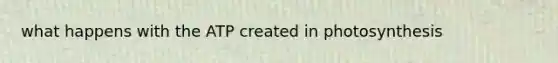 what happens with the ATP created in photosynthesis