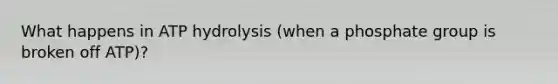 What happens in ATP hydrolysis (when a phosphate group is broken off ATP)?