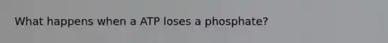 What happens when a ATP loses a phosphate?