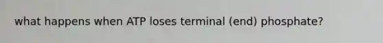 what happens when ATP loses terminal (end) phosphate?