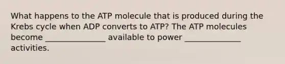 What happens to the ATP molecule that is produced during the Krebs cycle when ADP converts to ATP? The ATP molecules become _______________ available to power ______________ activities.