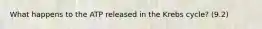 What happens to the ATP released in the Krebs cycle? (9.2)