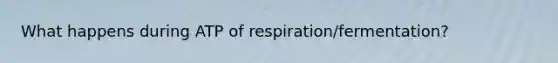 What happens during ATP of respiration/fermentation?