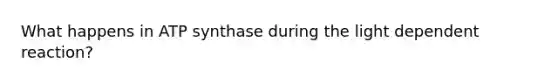 What happens in ATP synthase during the light dependent reaction?