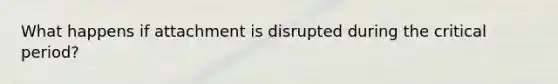 What happens if attachment is disrupted during the critical period?