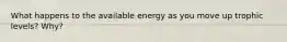 What happens to the available energy as you move up trophic levels? Why?