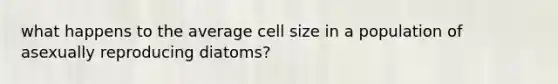 what happens to the average cell size in a population of asexually reproducing diatoms?