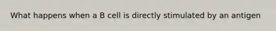 What happens when a B cell is directly stimulated by an antigen