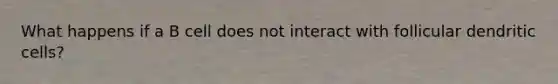 What happens if a B cell does not interact with follicular dendritic cells?