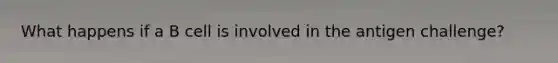 What happens if a B cell is involved in the antigen challenge?