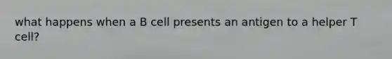 what happens when a B cell presents an antigen to a helper T cell?