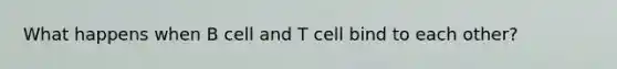 What happens when B cell and T cell bind to each other?