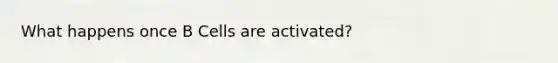 What happens once B Cells are activated?