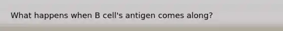 What happens when B cell's antigen comes along?