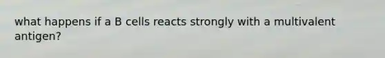 what happens if a B cells reacts strongly with a multivalent antigen?