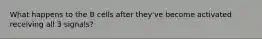 What happens to the B cells after they've become activated receiving all 3 signals?