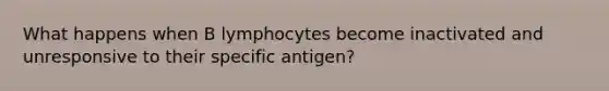 What happens when B lymphocytes become inactivated and unresponsive to their specific antigen?