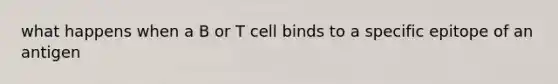 what happens when a B or T cell binds to a specific epitope of an antigen